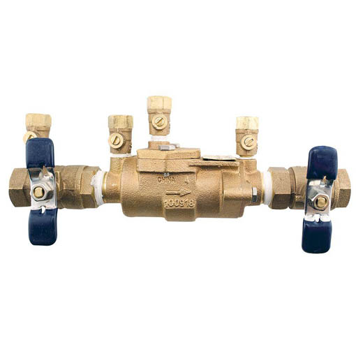 double check valve for cross connection 